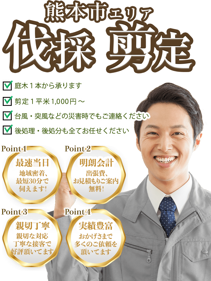 お庭のお手入れ 手嶋林業へまるごとお任せ！低価格で親切丁寧！20年の実績が信頼の証