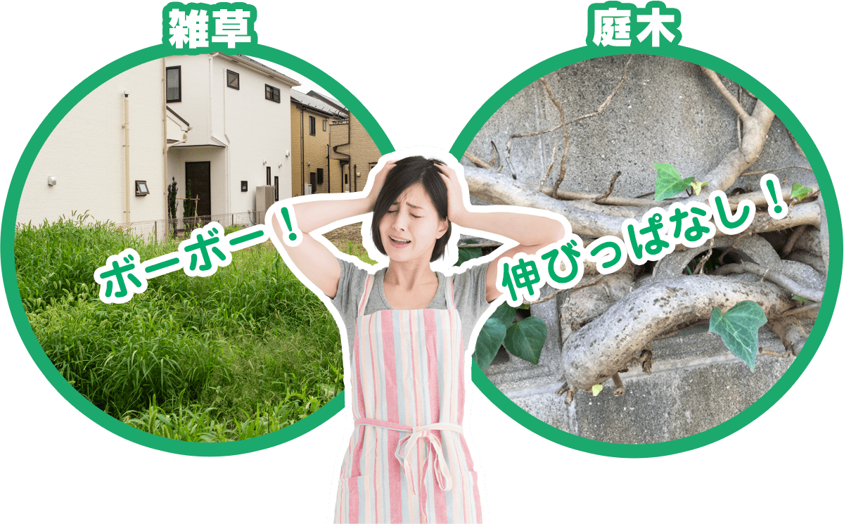 手嶋林業は雑草・庭木 ボーボー！伸びっぱなし！を解決します！