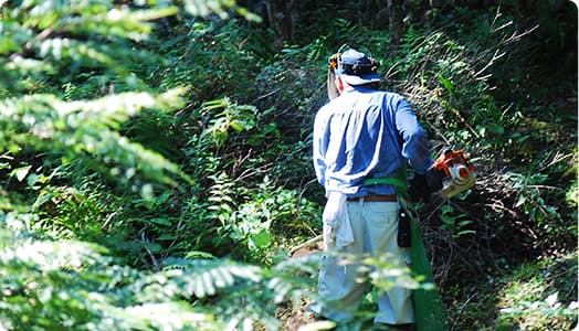 手嶋林業は立ち会いなし 遠方作業対応